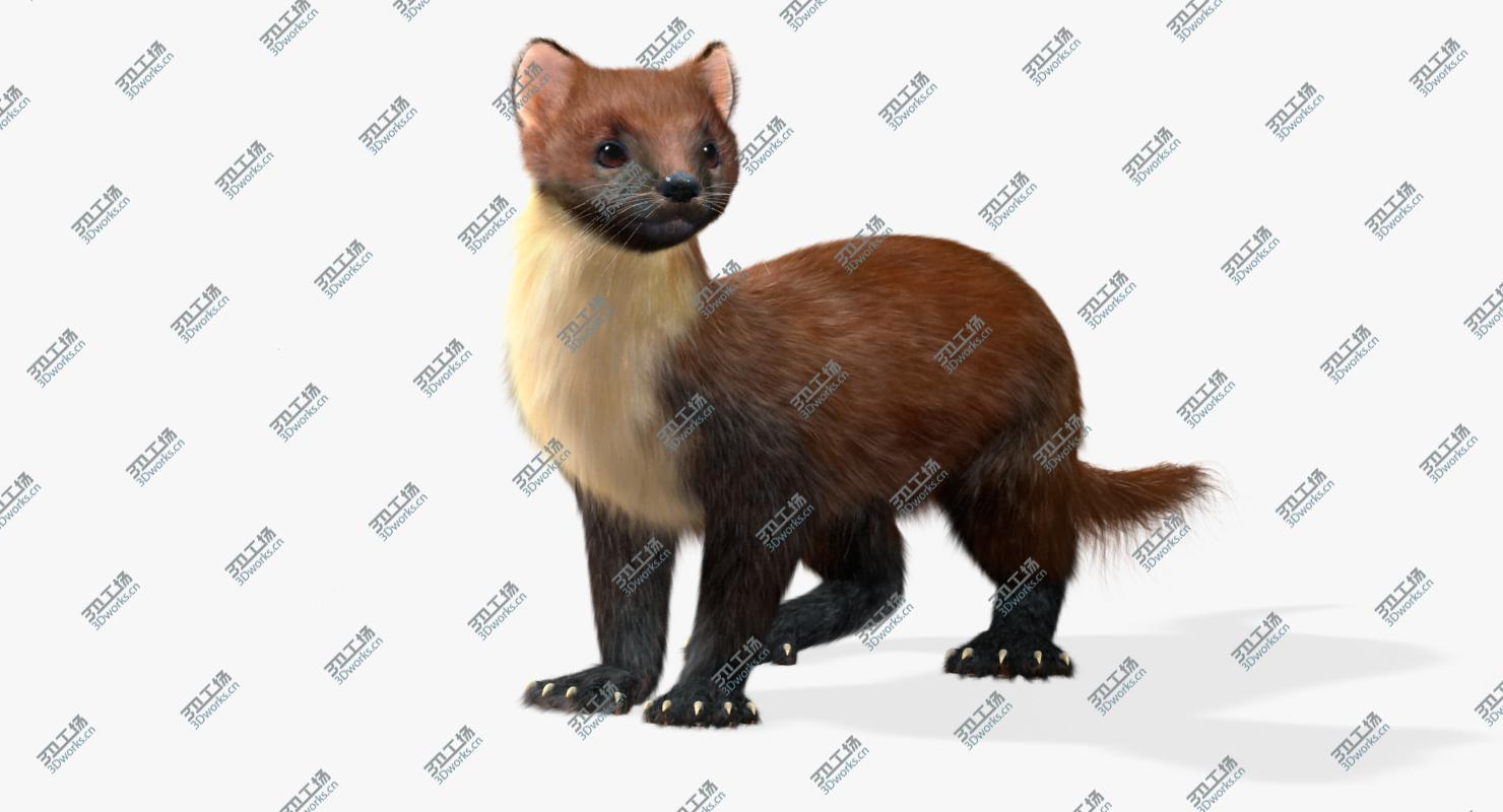 images/goods_img/2021040163/Marten (Animated,Fur)/2.jpg